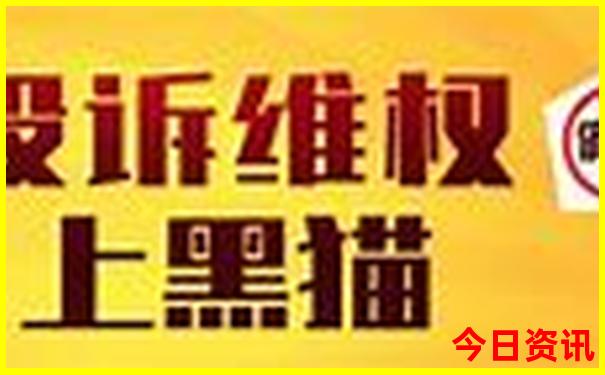 徐楠楠个人资料简介
